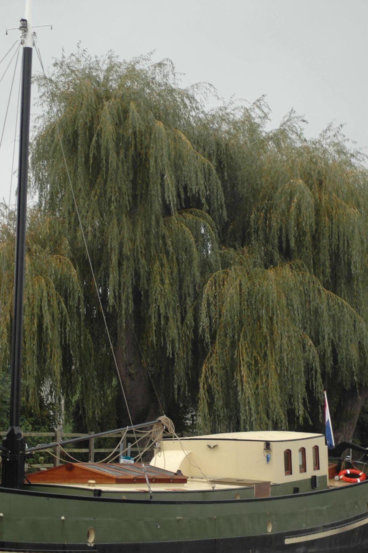 Hotel Barge Waternimf Ely Eksteriør bilde